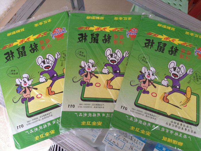 玉林粘鼠板（?。?5元一張